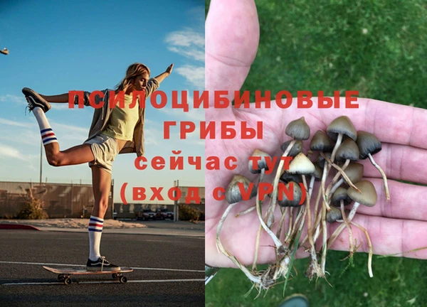 бутират Верея